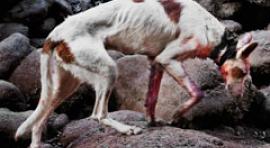 LANZADERA presenta el trabajo del fotógrafo Jesús Monterde