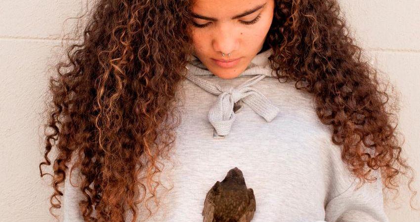 Comienza en Matadero el taller "Dentro cine" para jóvenes sin formación ni empleo
