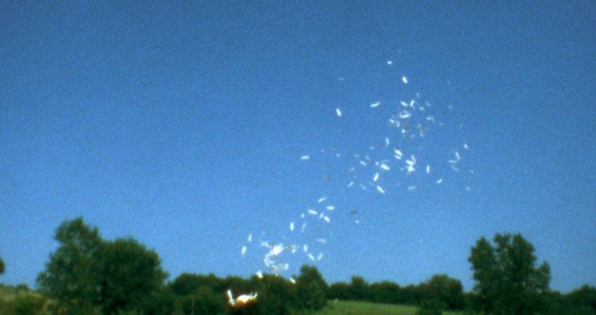 1973 - Weather Balloon, Feathered Balloon