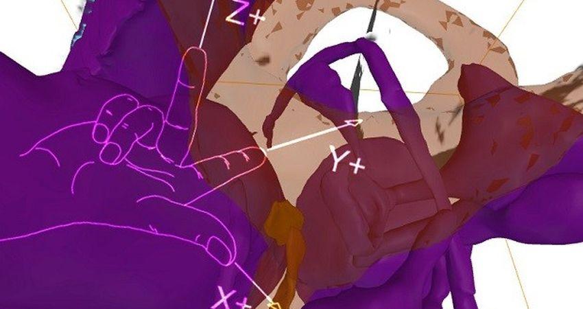  'Ada Lovelace Day: Volumetric Regimes'